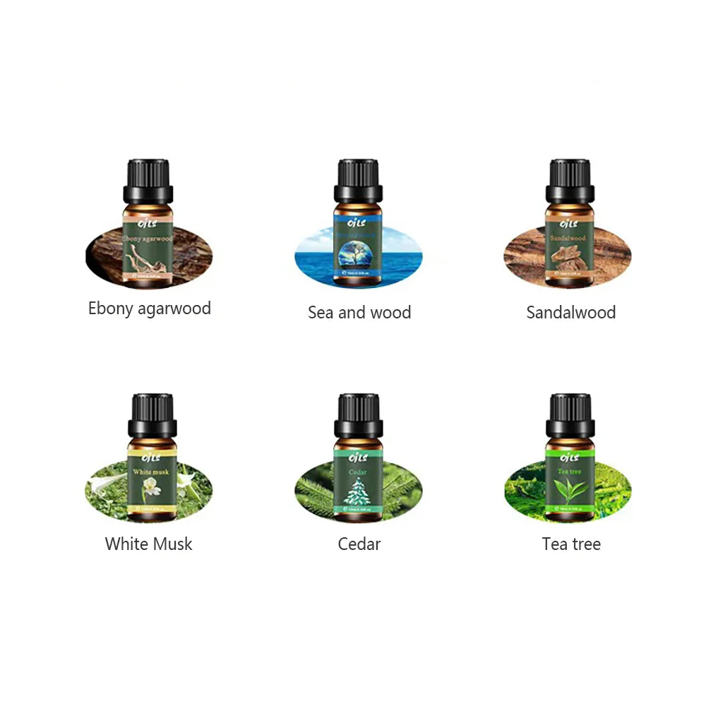6 Pieces Essential Oils with 6 Fragrance Options -Oils for Sleep Aid