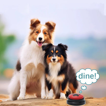 Pet Communication Button For Dogs.