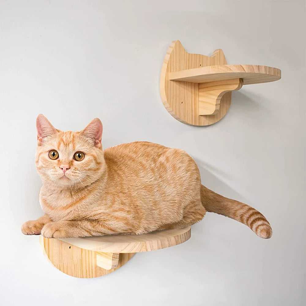 Cat Climbing Wall Accessories.  Each Sold Separately.  Create Your Own Design and Layout Using Select Pieces.