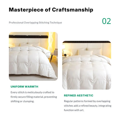 1 Piece Duck Feather Quilted Comforter - 100% Duck Feather Full Queen King Twin Size Bedding for Allergy Sufferers