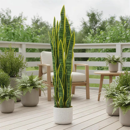 3FT Tall Artificial Snake Plant Sansevieria With White Planter
