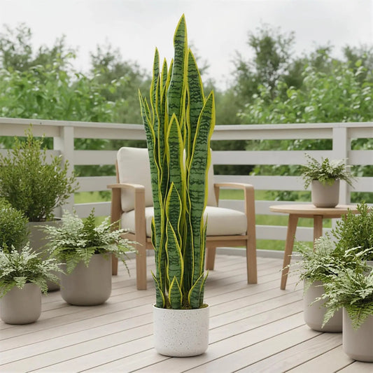 3FT Tall Artificial Snake Plant Sansevieria With White Planter