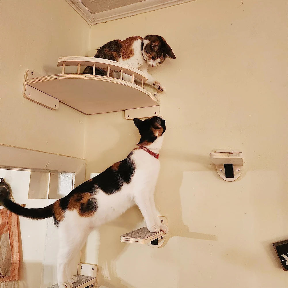Cat Climbing Wall Accessories.  Each Sold Separately.  Create Your Own Design and Layout Using Select Pieces.