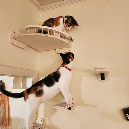 Cat Climbing Wall Accessories.  Each Sold Separately.  Create Your Own Design and Layout Using Select Pieces.