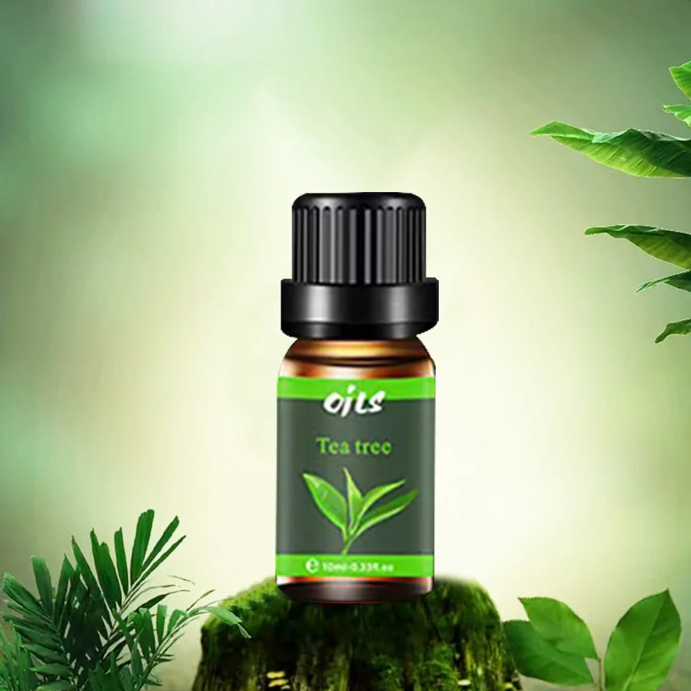 6 Pieces Essential Oils with 6 Fragrance Options -Oils for Sleep Aid